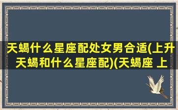 天蝎什么星座配处女男合适(上升天蝎和什么星座配)(天蝎座 上升处女座)